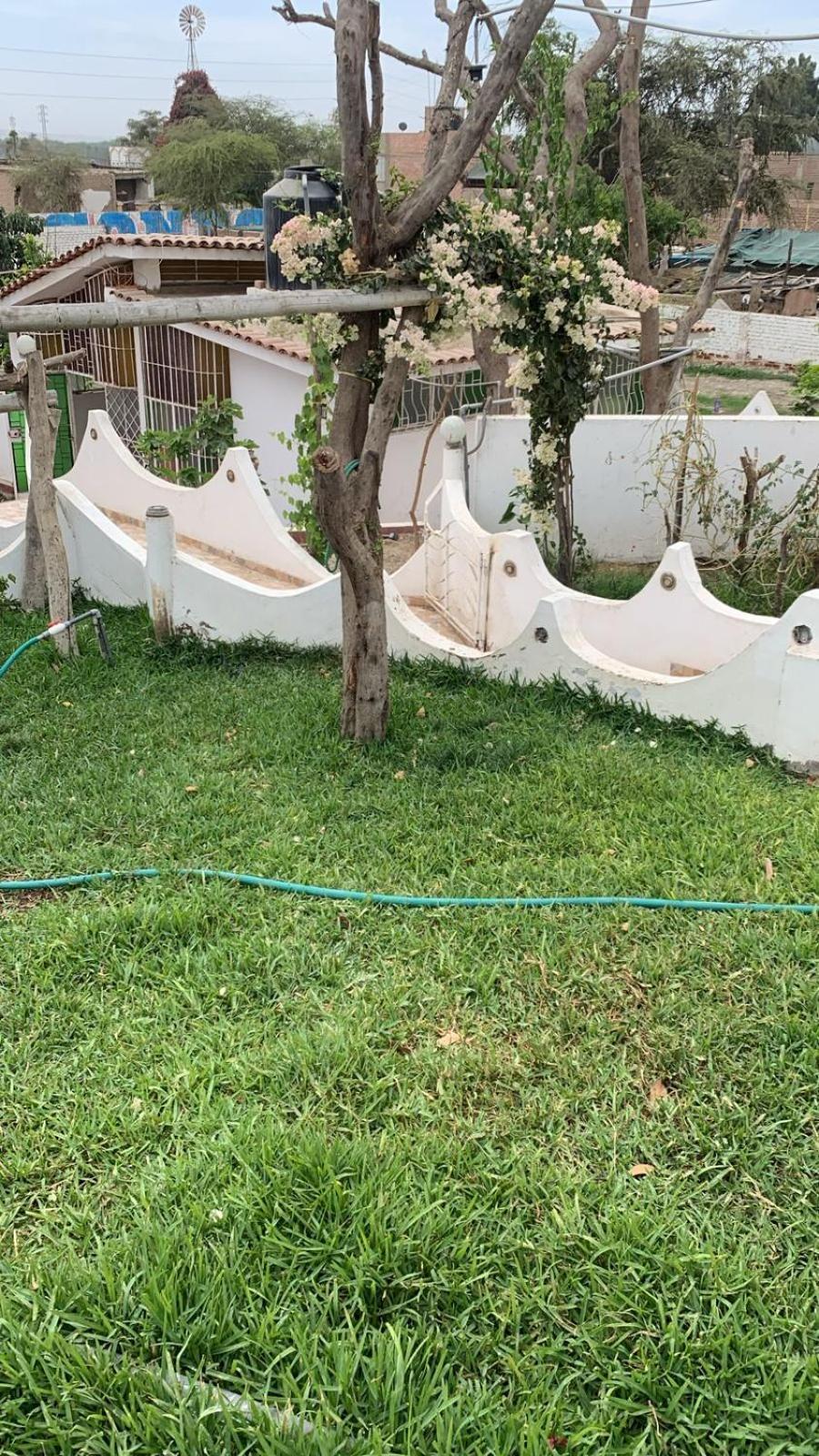 Casa di campagna - Fundo Raquel Ica